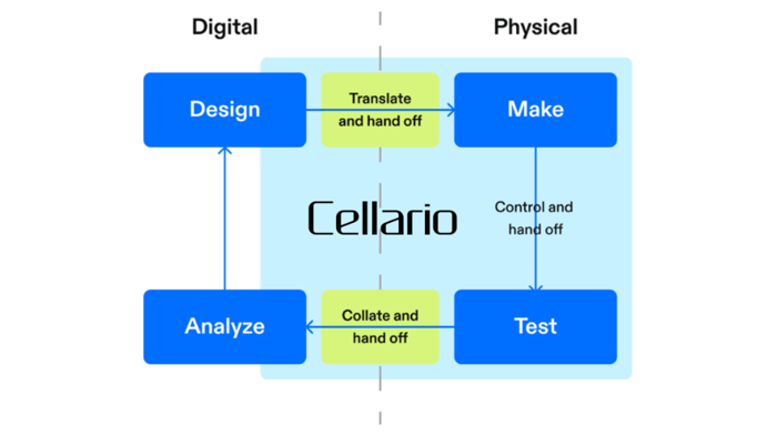 Through our orchestration platform, Cellario Platform, we connect the physical lab to the digital ecosystem, closing the loop between analysis/experimental design and wet lab execution through an API-first product design and deep partnerships with ELN, LIMS, Informatics, and AI Scientists.